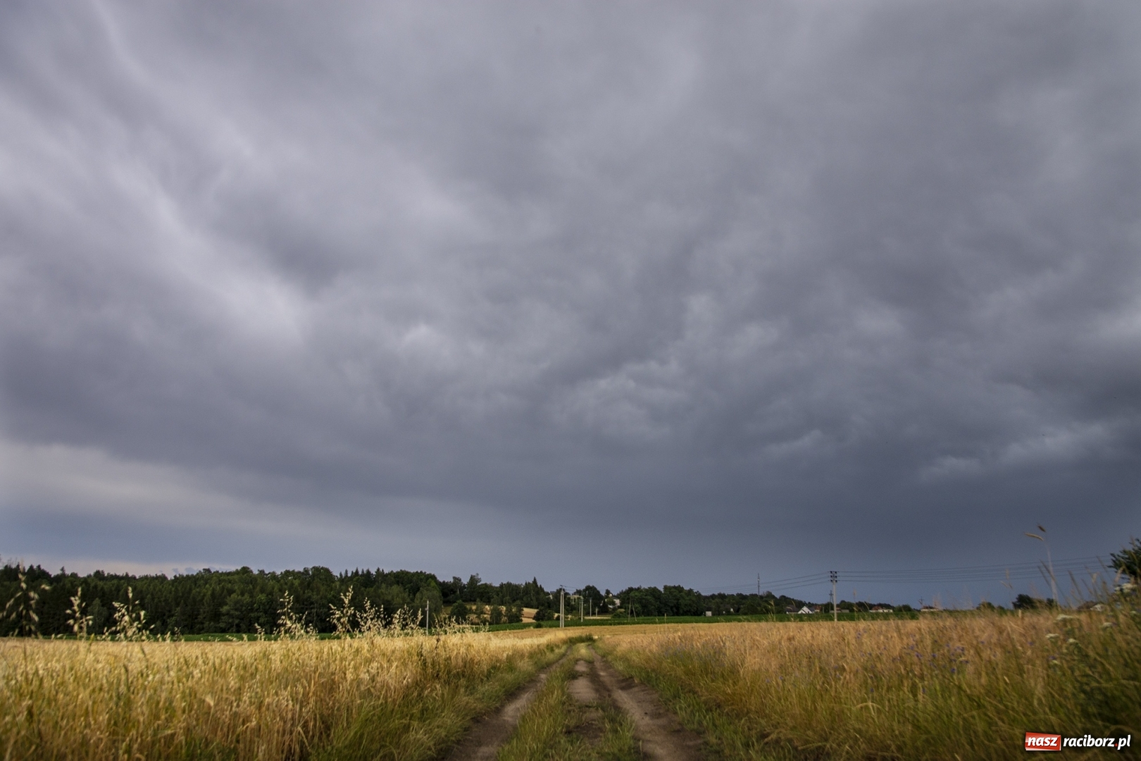 Zdjęcie w galerii na portalu naszraciborz.pl: Front burzowy nad ziemią raciborską [FOTO] wiadomości z regionu