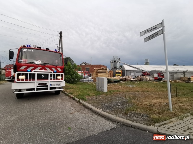 Zdjęcie w galerii na portalu naszraciborz.pl: Trudny pożar w Bieńkowicach. Strażacy w akcji już drugi dzień  wiadomości z regionu