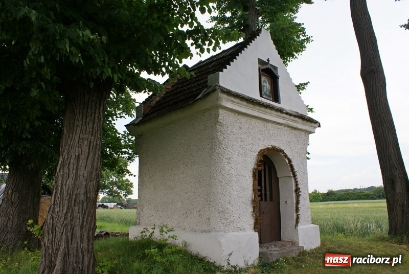 Zdjęcie w galerii na portalu naszraciborz.pl: Powstańcze opowieści. Tajemnice kapliczki na Grobli  wiadomości z regionu