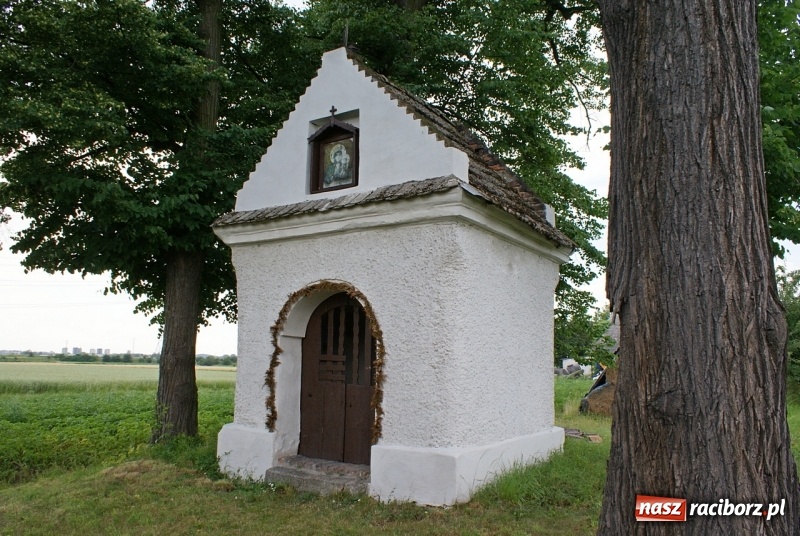 Zdjęcie w galerii na portalu naszraciborz.pl: Powstańcze opowieści. Tajemnice kapliczki na Grobli  wiadomości z regionu