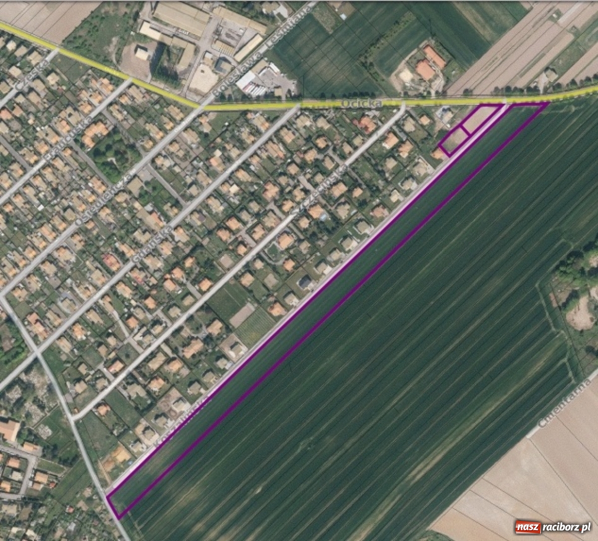 Zdjęcie w galerii na portalu naszraciborz.pl: Miasto wystawi do sprzedaży ogromną pulę działek [FOTO] wiadomości z regionu