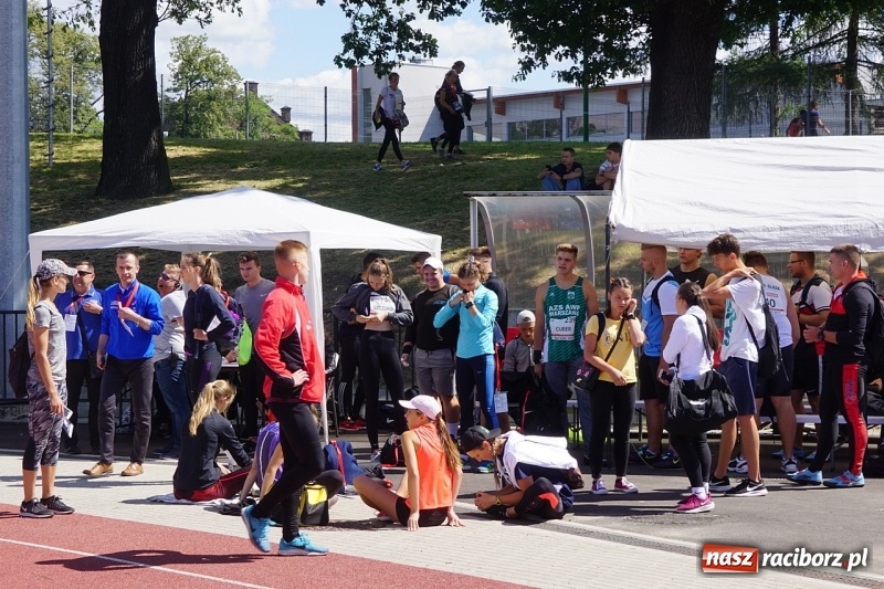 Zdjęcie w galerii na portalu naszraciborz.pl: Raciborska królowa lekkiej atletyki życzyła dobrych wyników [FOTO i WIDEO] wiadomości z regionu