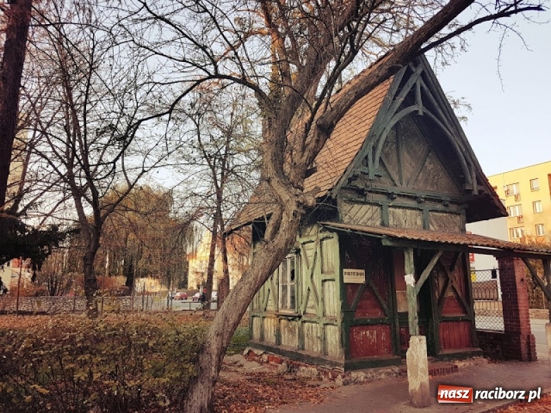 Zdjęcie w galerii na portalu naszraciborz.pl: Miejski konserwator zabytków nie pozwoli zniszczyć chatki Baby Jagi  wiadomości z regionu