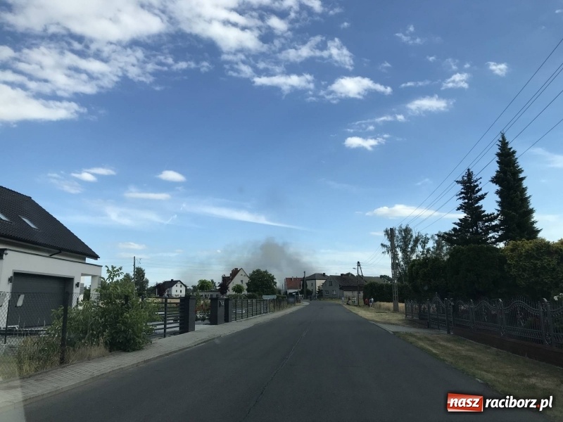 Zdjęcie w galerii na portalu naszraciborz.pl: BMW stanęło w ogniu w Babicach [FOTO] wiadomości z regionu