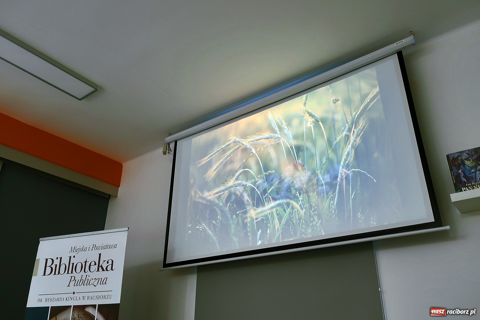 Zdjęcie w galerii na portalu naszraciborz.pl: Barwy lata w raciborskiej bibliotece wiadomości z regionu