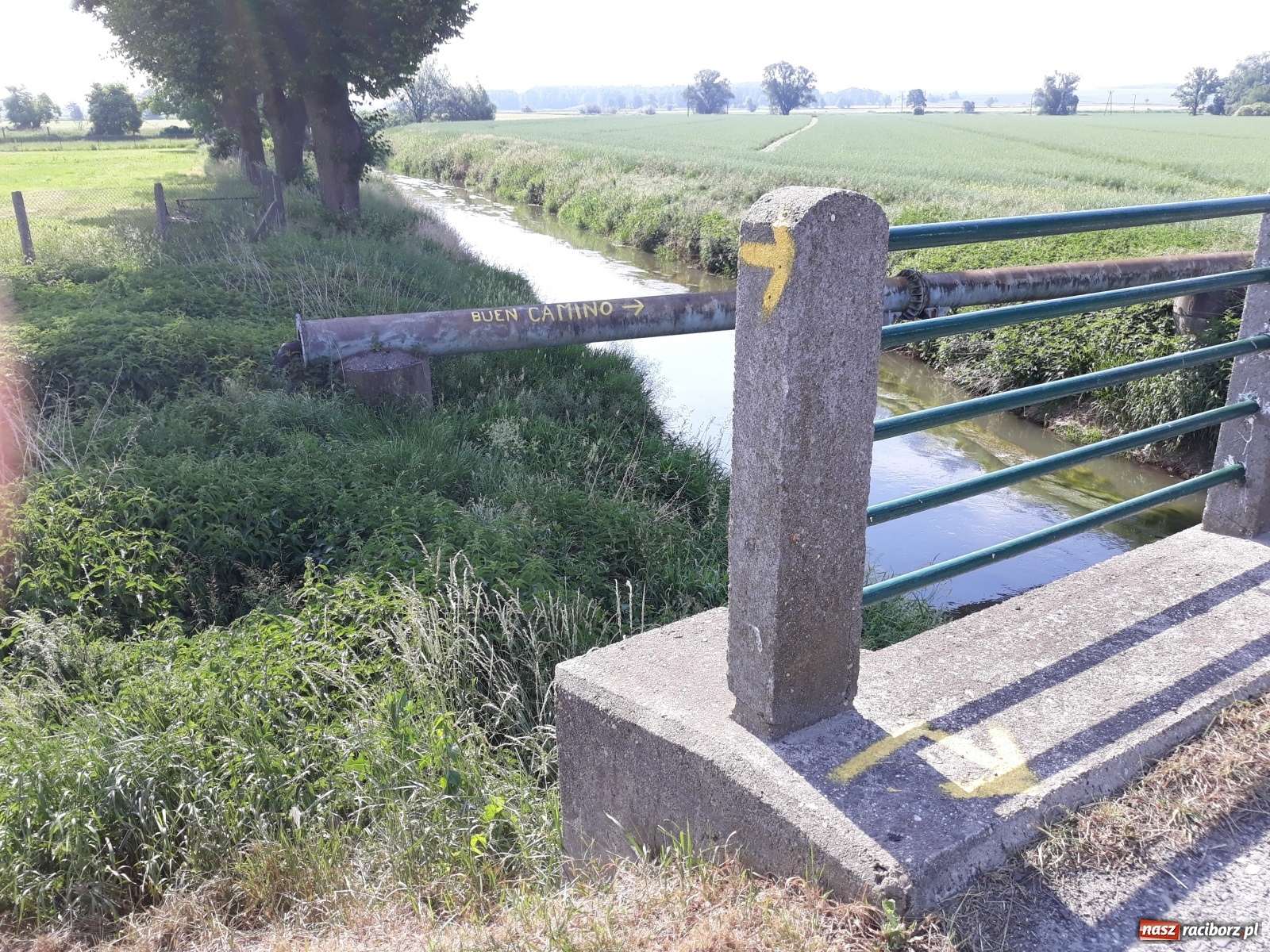 Zdjęcie w galerii na portalu naszraciborz.pl: Niech nas prowadzi święty Jakub. Od Santiago de Compostela do Raciborza  wiadomości z regionu