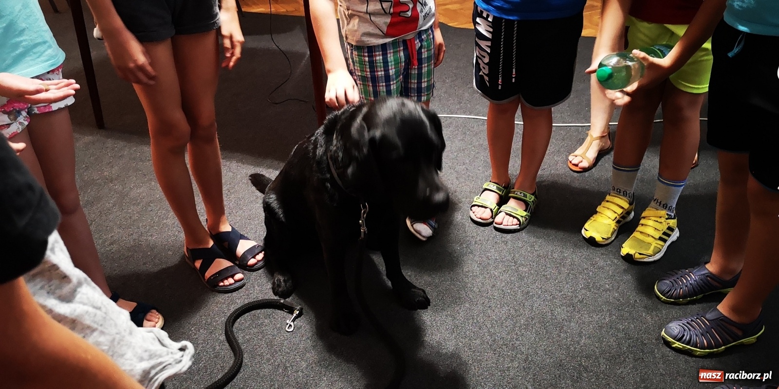 Zdjęcie w galerii na portalu naszraciborz.pl: Spotkanie z kryminalistykiem w Domu Kultury w Borucinie wiadomości z regionu