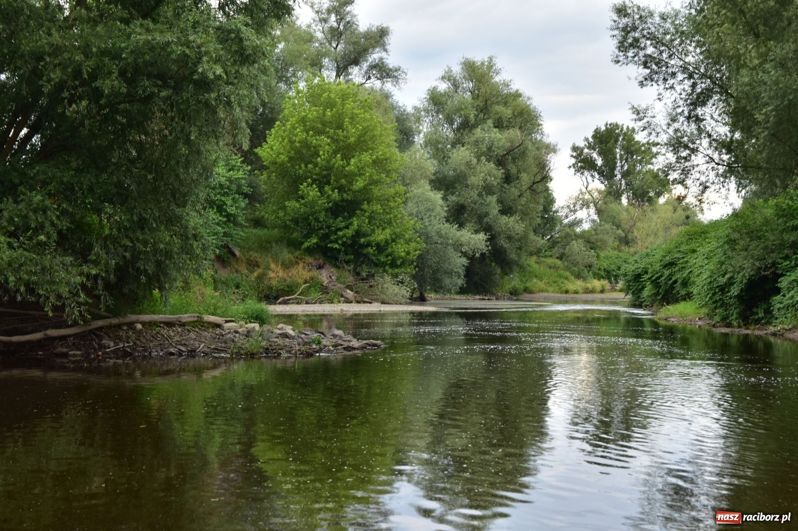 Zdjęcie w galerii na portalu naszraciborz.pl: Państwowa Służba Hydrologiczna ostrzega przed niżówką. Groźba niedoborów wody wiadomości z regionu