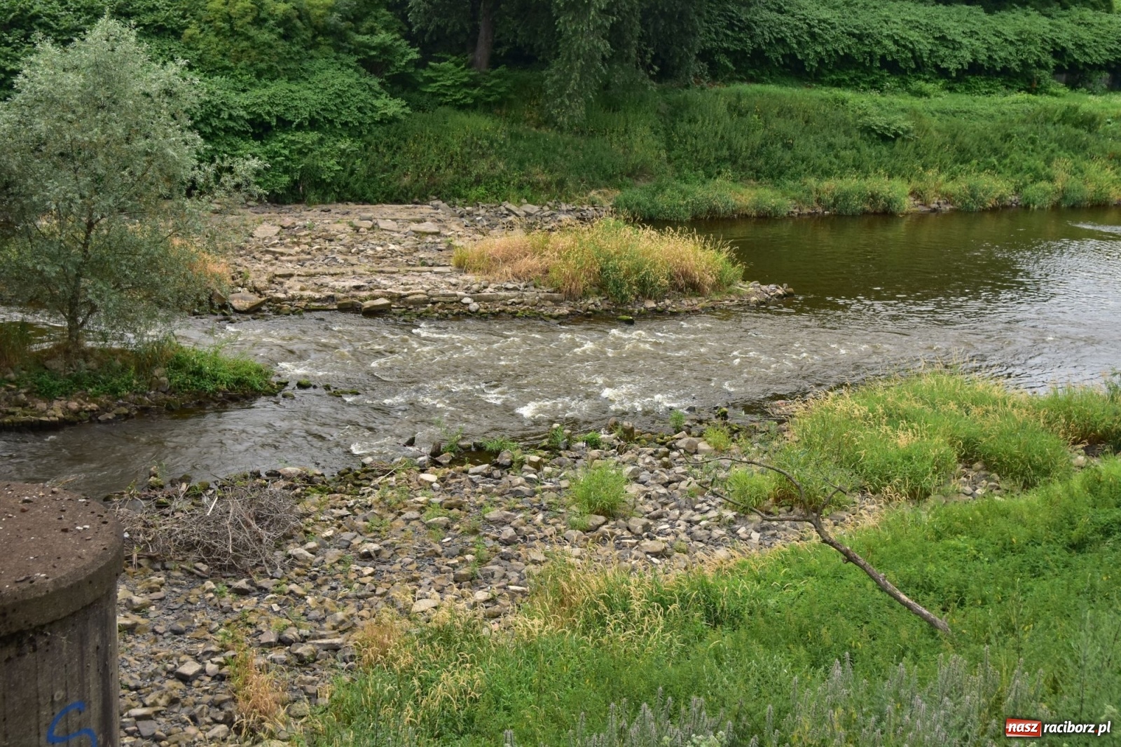 Zdjęcie w galerii na portalu naszraciborz.pl: Państwowa Służba Hydrologiczna ostrzega przed niżówką. Groźba niedoborów wody wiadomości z regionu
