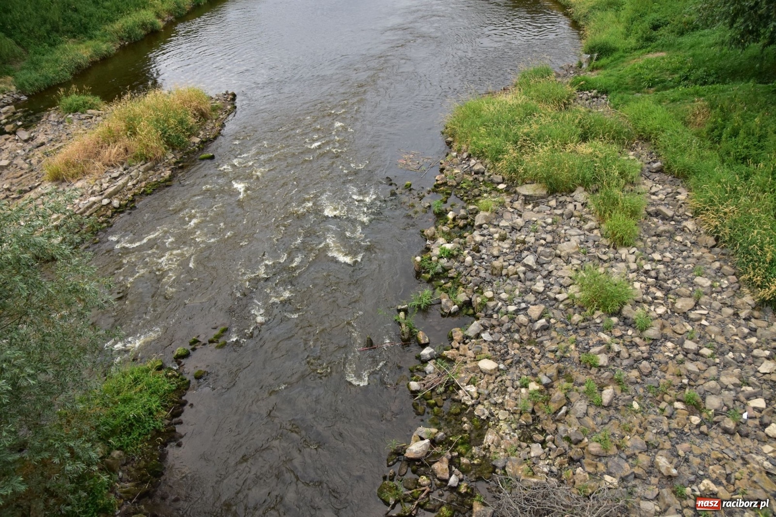 Zdjęcie w galerii na portalu naszraciborz.pl: Państwowa Służba Hydrologiczna ostrzega przed niżówką. Groźba niedoborów wody wiadomości z regionu