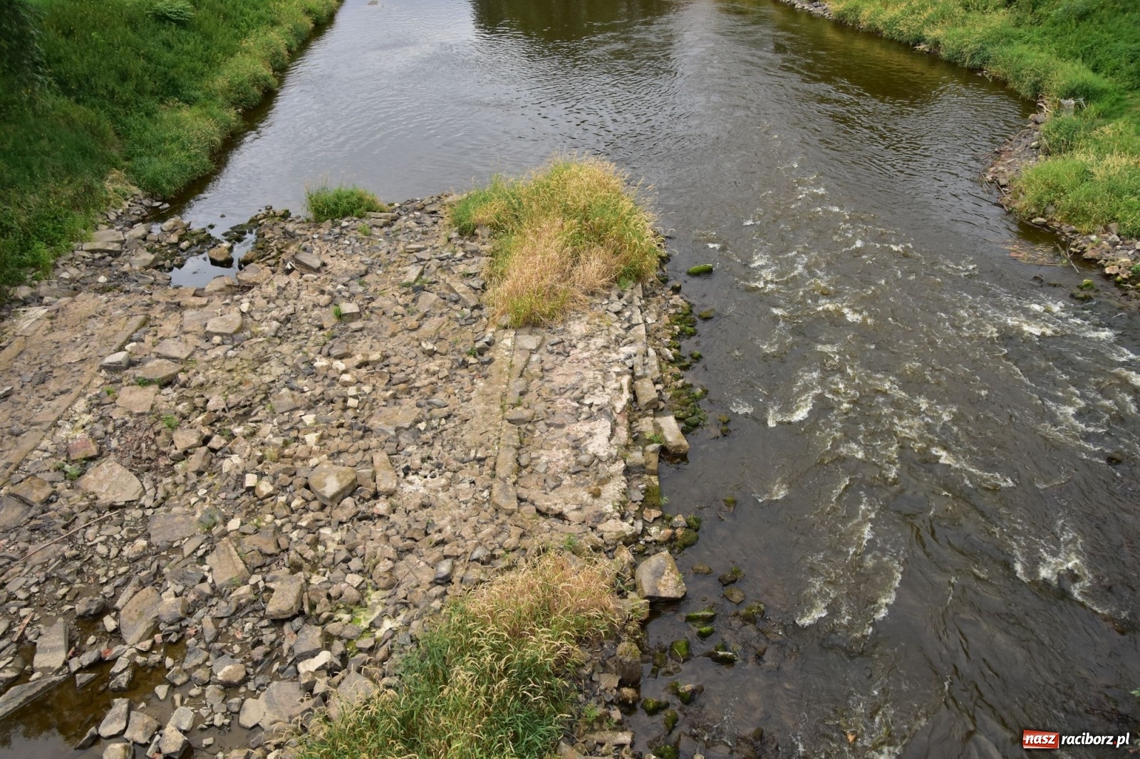 Zdjęcie w galerii na portalu naszraciborz.pl: Państwowa Służba Hydrologiczna ostrzega przed niżówką. Groźba niedoborów wody wiadomości z regionu