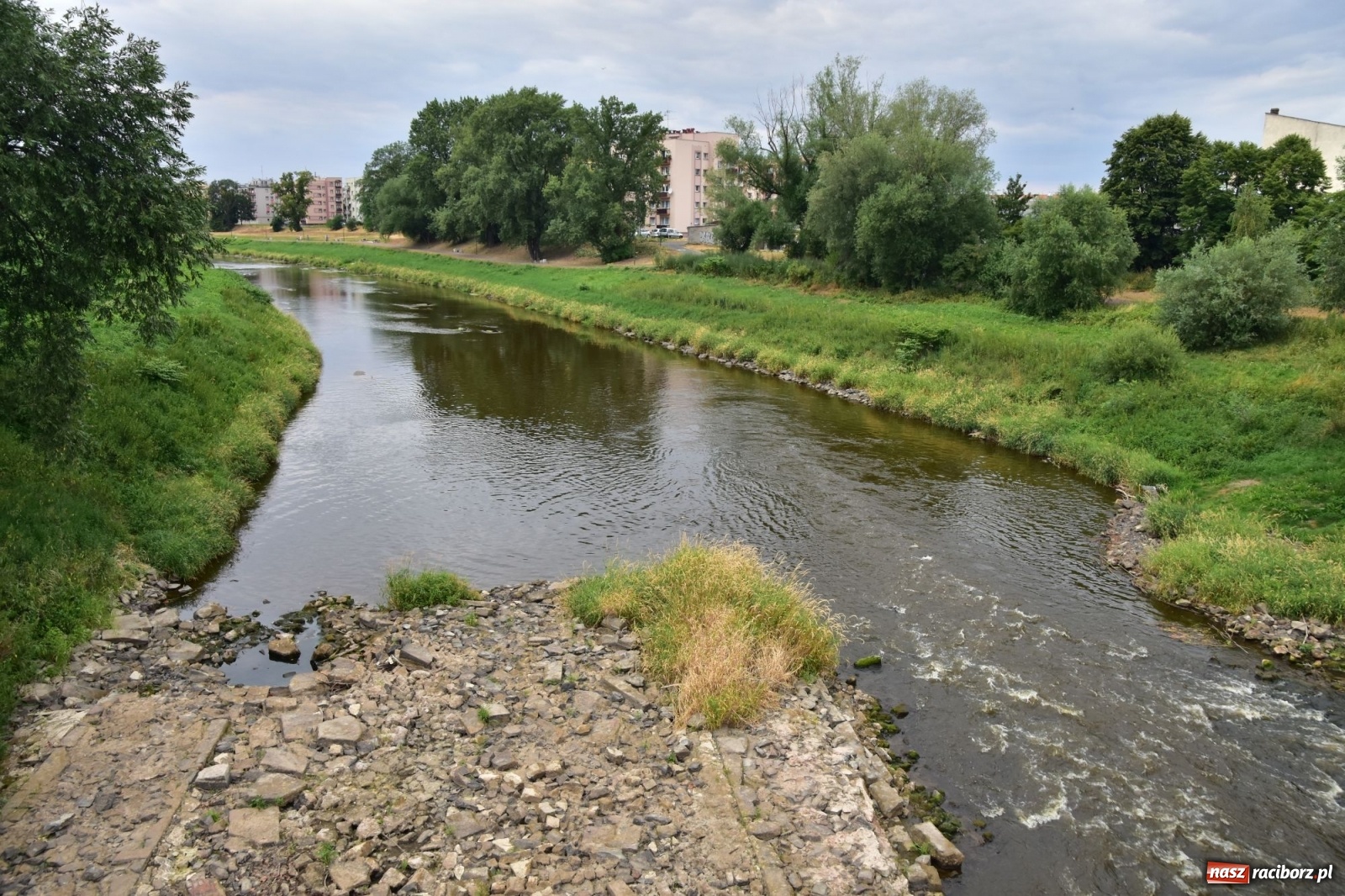 Zdjęcie w galerii na portalu naszraciborz.pl: Państwowa Służba Hydrologiczna ostrzega przed niżówką. Groźba niedoborów wody wiadomości z regionu