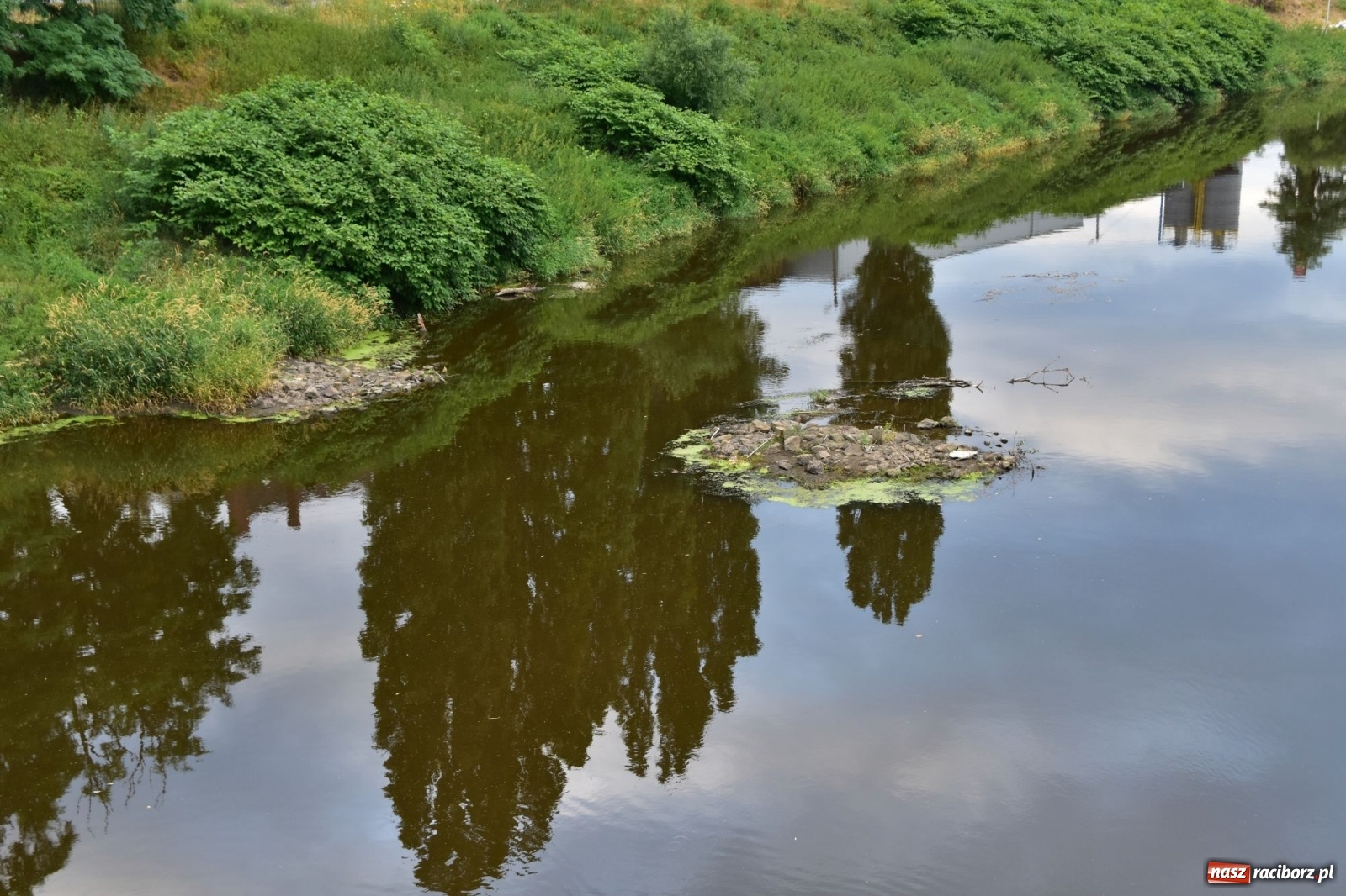 Zdjęcie w galerii na portalu naszraciborz.pl: Państwowa Służba Hydrologiczna ostrzega przed niżówką. Groźba niedoborów wody wiadomości z regionu