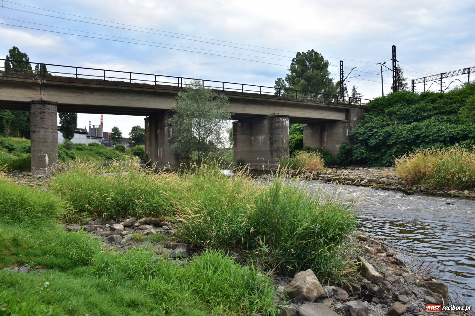 Zdjęcie w galerii na portalu naszraciborz.pl: Państwowa Służba Hydrologiczna ostrzega przed niżówką. Groźba niedoborów wody wiadomości z regionu