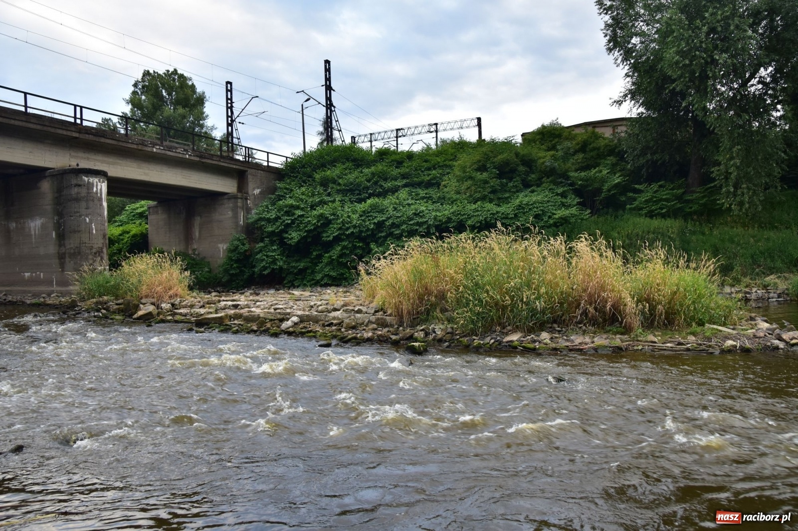 Zdjęcie w galerii na portalu naszraciborz.pl: Państwowa Służba Hydrologiczna ostrzega przed niżówką. Groźba niedoborów wody wiadomości z regionu