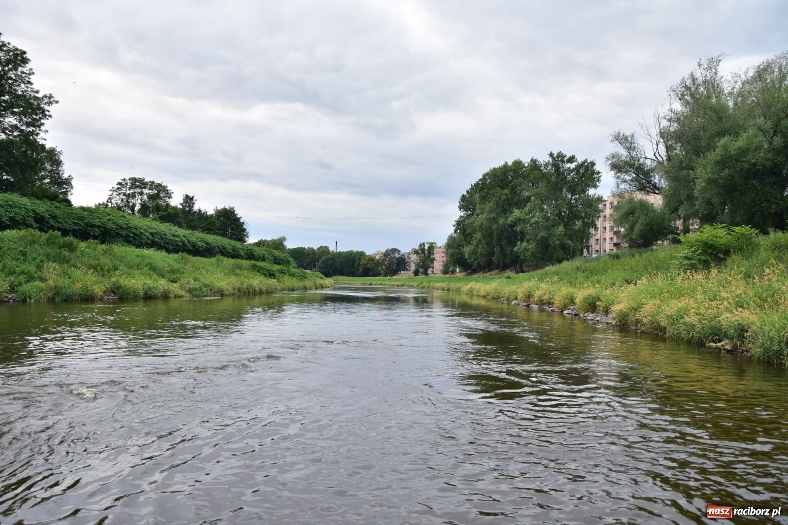 Zdjęcie w galerii na portalu naszraciborz.pl: Państwowa Służba Hydrologiczna ostrzega przed niżówką. Groźba niedoborów wody wiadomości z regionu