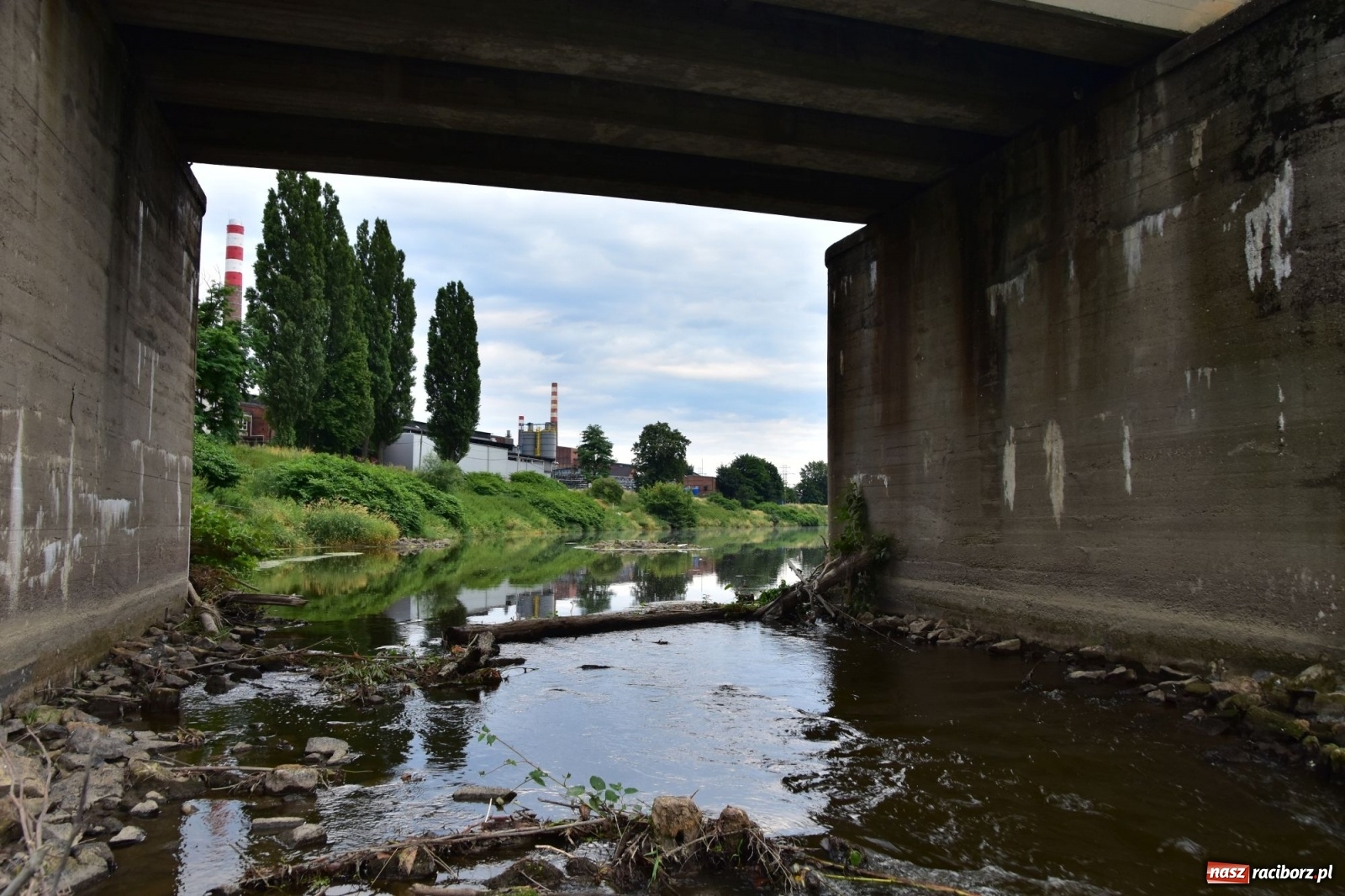 Zdjęcie w galerii na portalu naszraciborz.pl: Państwowa Służba Hydrologiczna ostrzega przed niżówką. Groźba niedoborów wody wiadomości z regionu