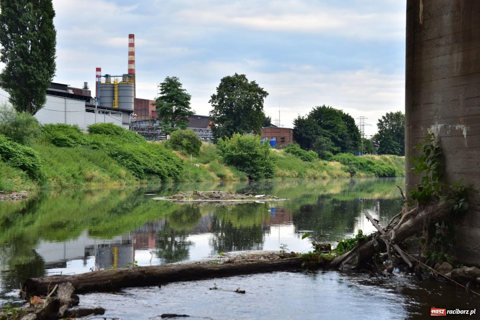 Zdjęcie w galerii na portalu naszraciborz.pl: Państwowa Służba Hydrologiczna ostrzega przed niżówką. Groźba niedoborów wody wiadomości z regionu