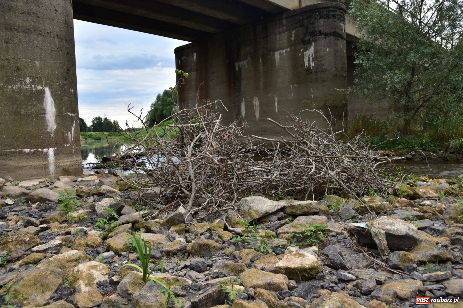 Zdjęcie w galerii na portalu naszraciborz.pl: Państwowa Służba Hydrologiczna ostrzega przed niżówką. Groźba niedoborów wody wiadomości z regionu