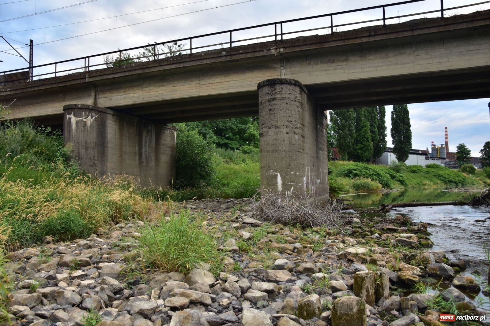 Zdjęcie w galerii na portalu naszraciborz.pl: Państwowa Służba Hydrologiczna ostrzega przed niżówką. Groźba niedoborów wody wiadomości z regionu