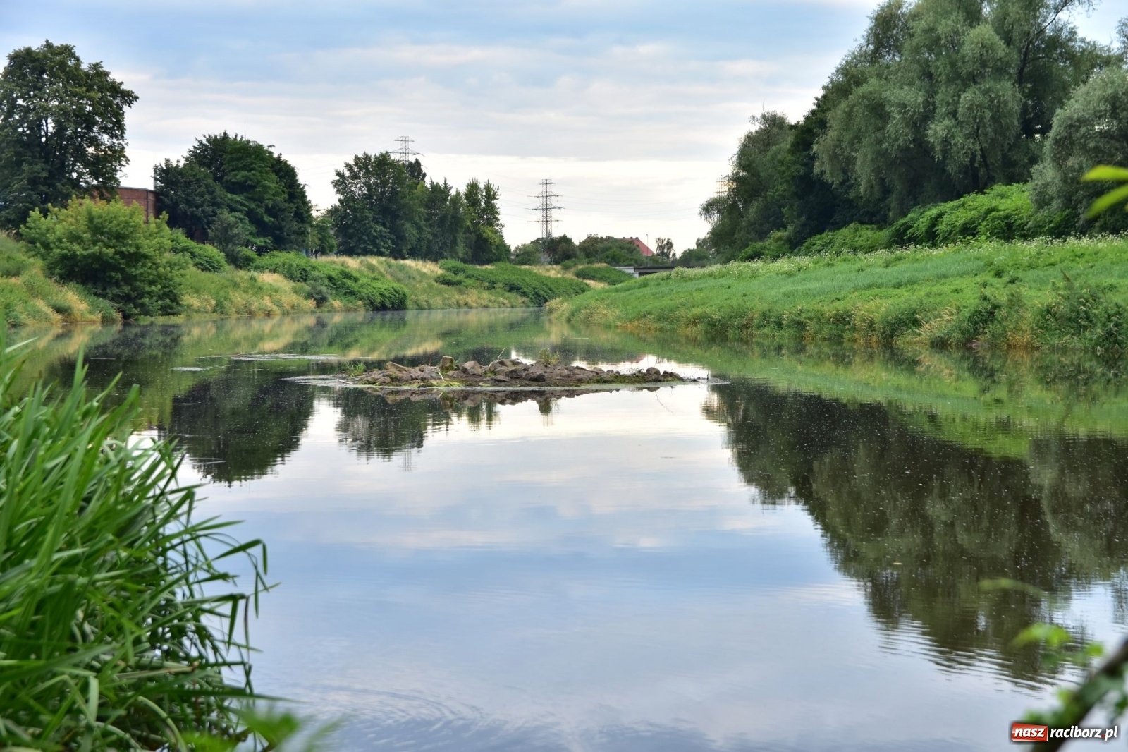 Zdjęcie w galerii na portalu naszraciborz.pl: Państwowa Służba Hydrologiczna ostrzega przed niżówką. Groźba niedoborów wody wiadomości z regionu