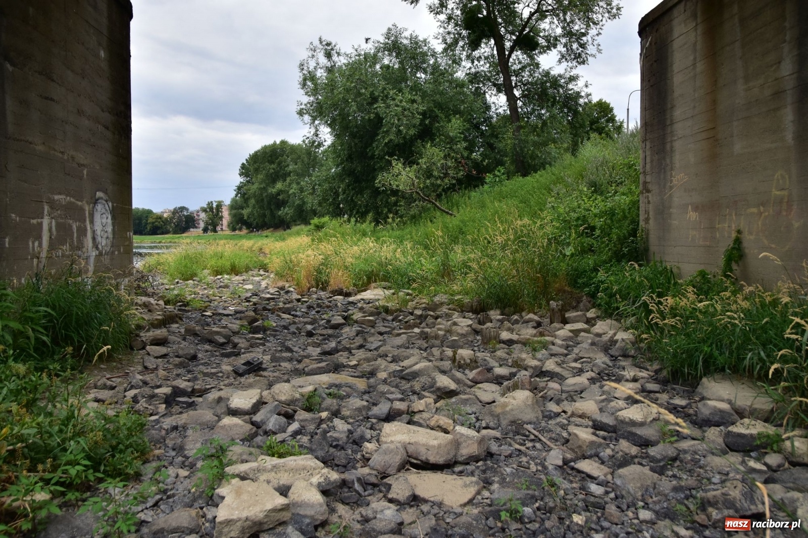 Zdjęcie w galerii na portalu naszraciborz.pl: Państwowa Służba Hydrologiczna ostrzega przed niżówką. Groźba niedoborów wody wiadomości z regionu