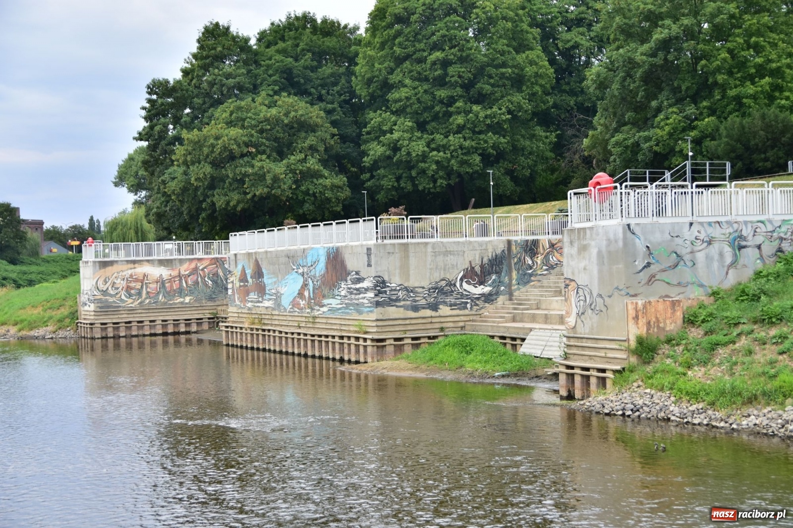 Zdjęcie w galerii na portalu naszraciborz.pl: Państwowa Służba Hydrologiczna ostrzega przed niżówką. Groźba niedoborów wody wiadomości z regionu