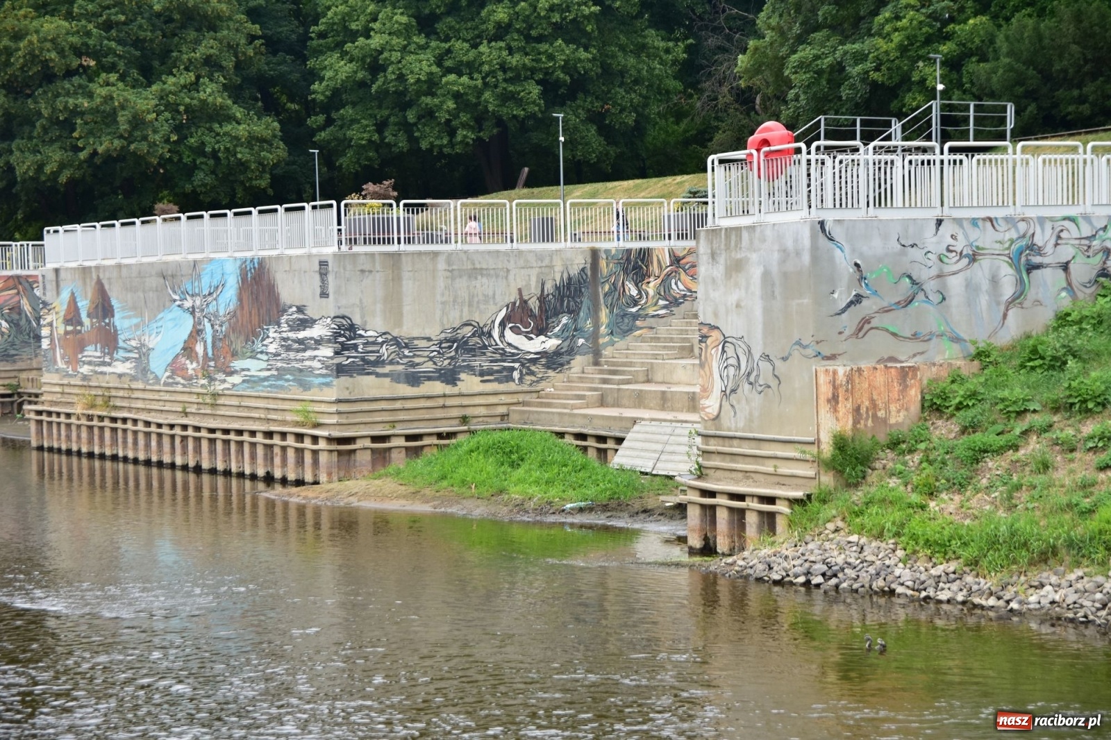 Zdjęcie w galerii na portalu naszraciborz.pl: Państwowa Służba Hydrologiczna ostrzega przed niżówką. Groźba niedoborów wody wiadomości z regionu