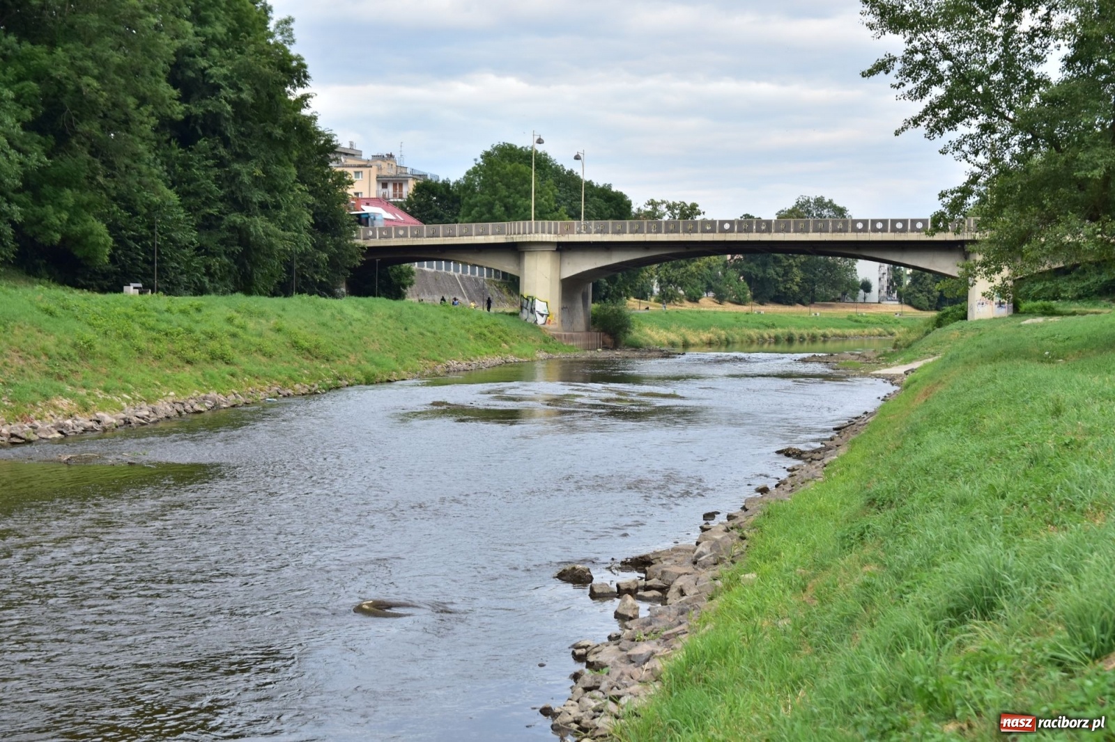 Zdjęcie w galerii na portalu naszraciborz.pl: Państwowa Służba Hydrologiczna ostrzega przed niżówką. Groźba niedoborów wody wiadomości z regionu