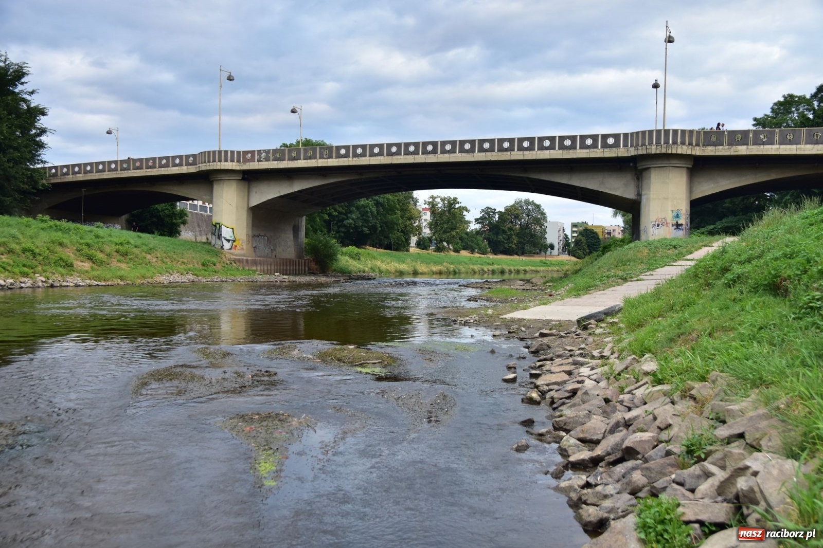 Zdjęcie w galerii na portalu naszraciborz.pl: Państwowa Służba Hydrologiczna ostrzega przed niżówką. Groźba niedoborów wody wiadomości z regionu