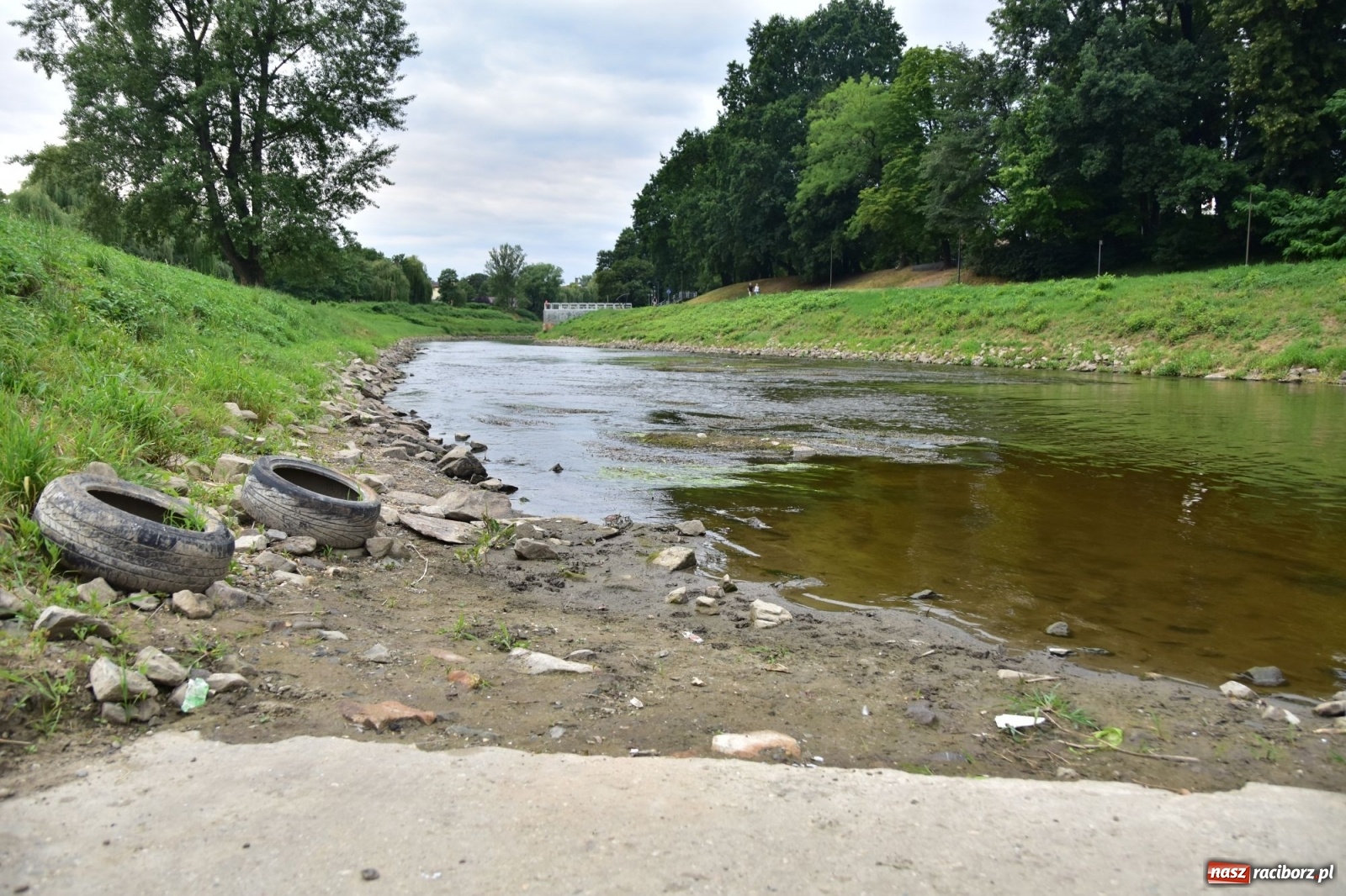 Zdjęcie w galerii na portalu naszraciborz.pl: Państwowa Służba Hydrologiczna ostrzega przed niżówką. Groźba niedoborów wody wiadomości z regionu