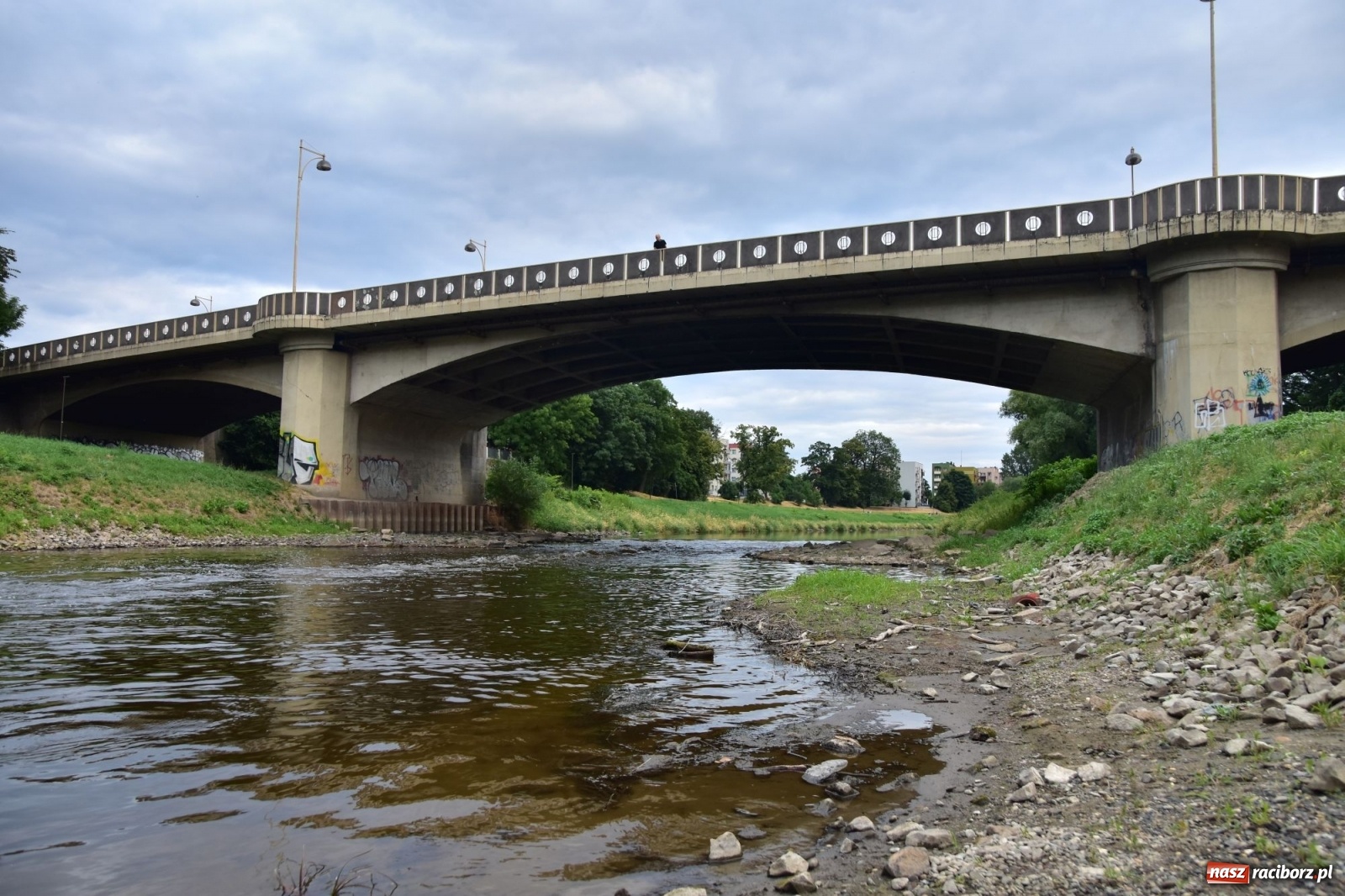 Zdjęcie w galerii na portalu naszraciborz.pl: Państwowa Służba Hydrologiczna ostrzega przed niżówką. Groźba niedoborów wody wiadomości z regionu