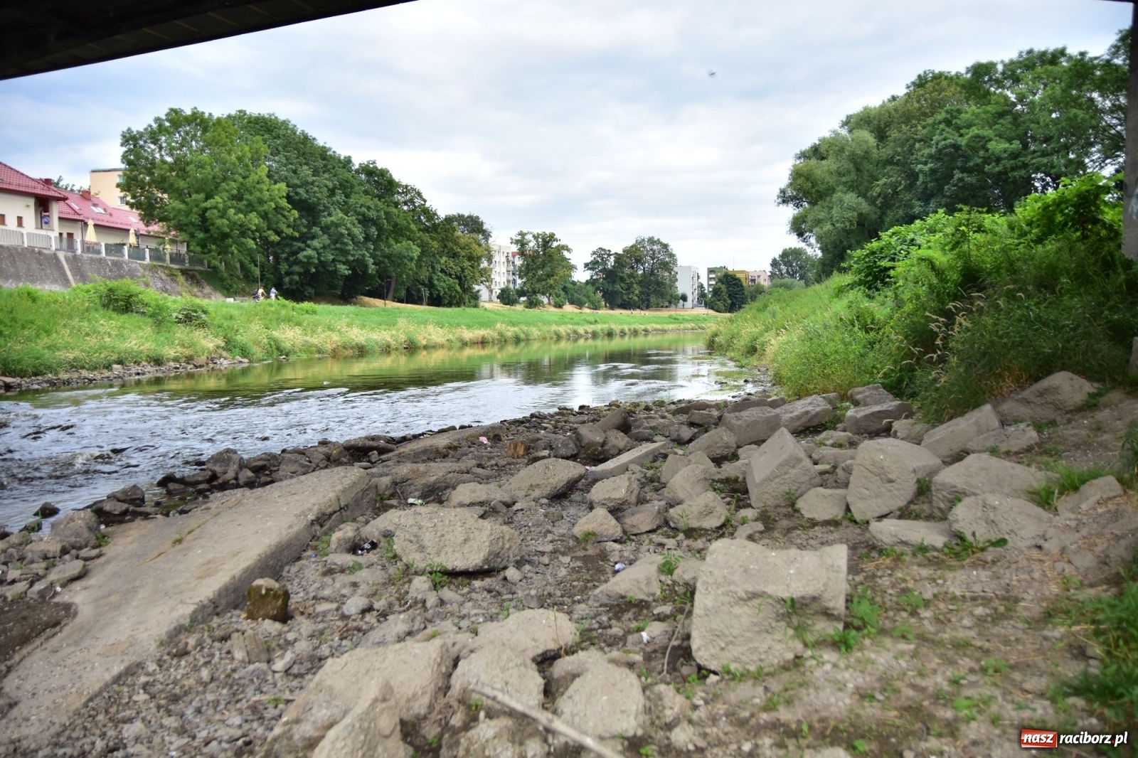 Zdjęcie w galerii na portalu naszraciborz.pl: Państwowa Służba Hydrologiczna ostrzega przed niżówką. Groźba niedoborów wody wiadomości z regionu