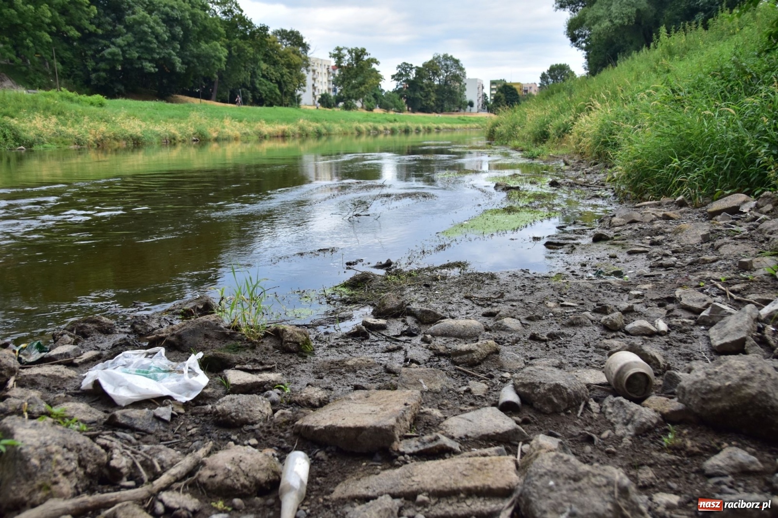 Zdjęcie w galerii na portalu naszraciborz.pl: Państwowa Służba Hydrologiczna ostrzega przed niżówką. Groźba niedoborów wody wiadomości z regionu