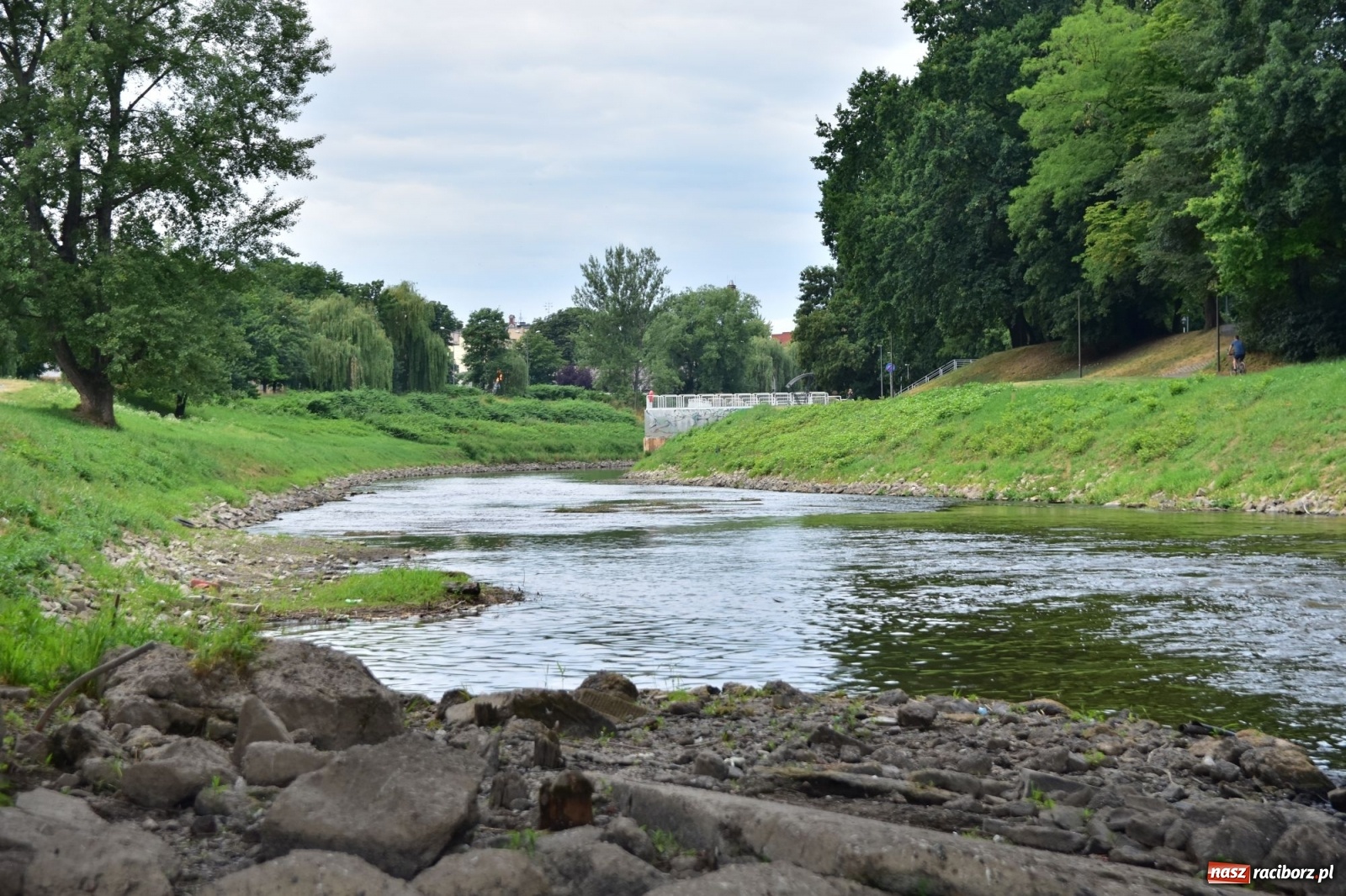 Zdjęcie w galerii na portalu naszraciborz.pl: Państwowa Służba Hydrologiczna ostrzega przed niżówką. Groźba niedoborów wody wiadomości z regionu