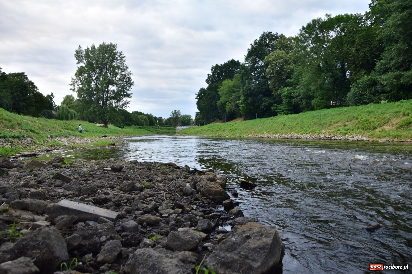 Zdjęcie w galerii na portalu naszraciborz.pl: Państwowa Służba Hydrologiczna ostrzega przed niżówką. Groźba niedoborów wody wiadomości z regionu
