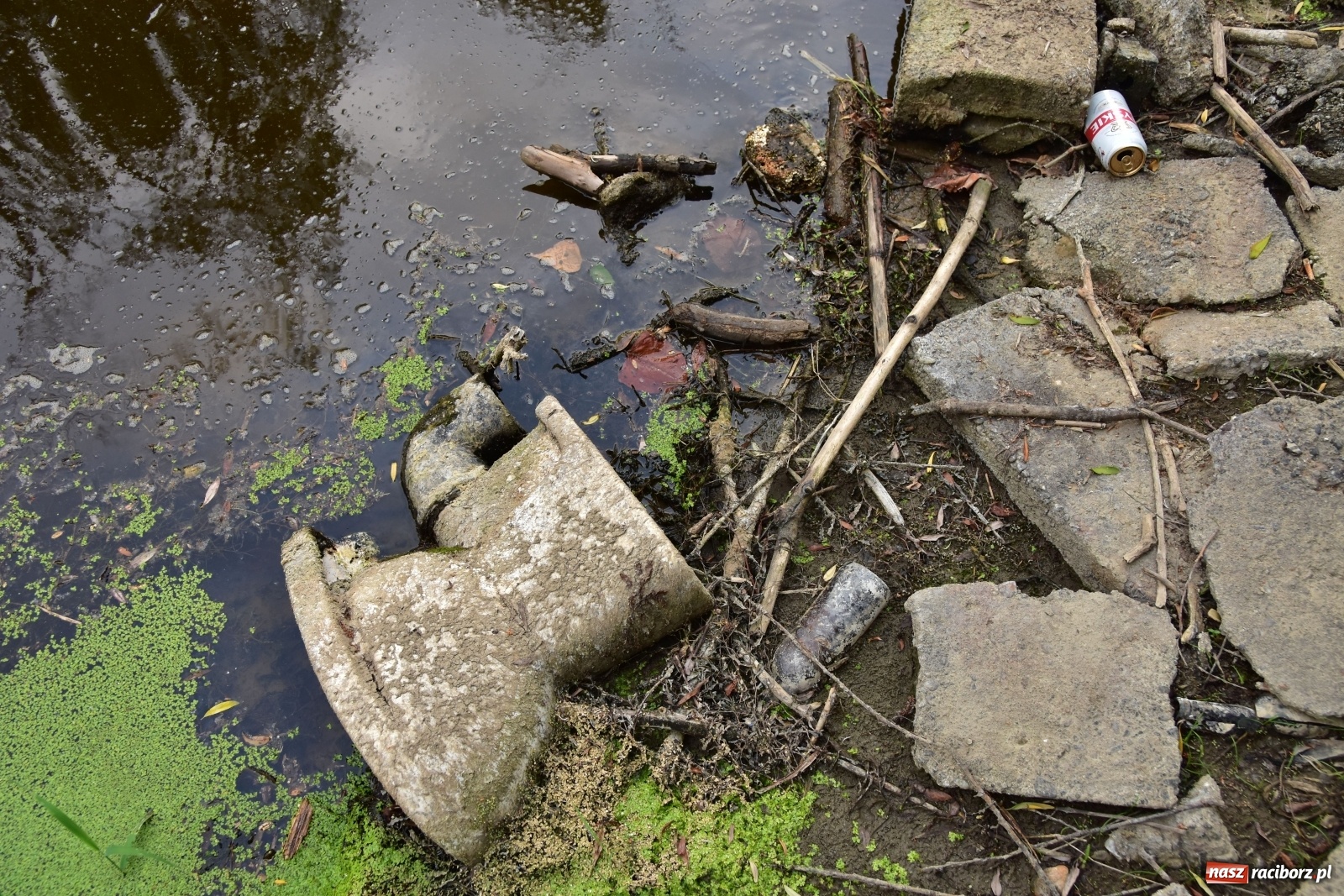 Zdjęcie w galerii na portalu naszraciborz.pl: Państwowa Służba Hydrologiczna ostrzega przed niżówką. Groźba niedoborów wody wiadomości z regionu
