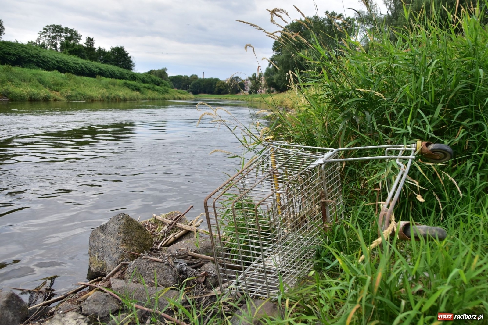 Zdjęcie w galerii na portalu naszraciborz.pl: Państwowa Służba Hydrologiczna ostrzega przed niżówką. Groźba niedoborów wody wiadomości z regionu