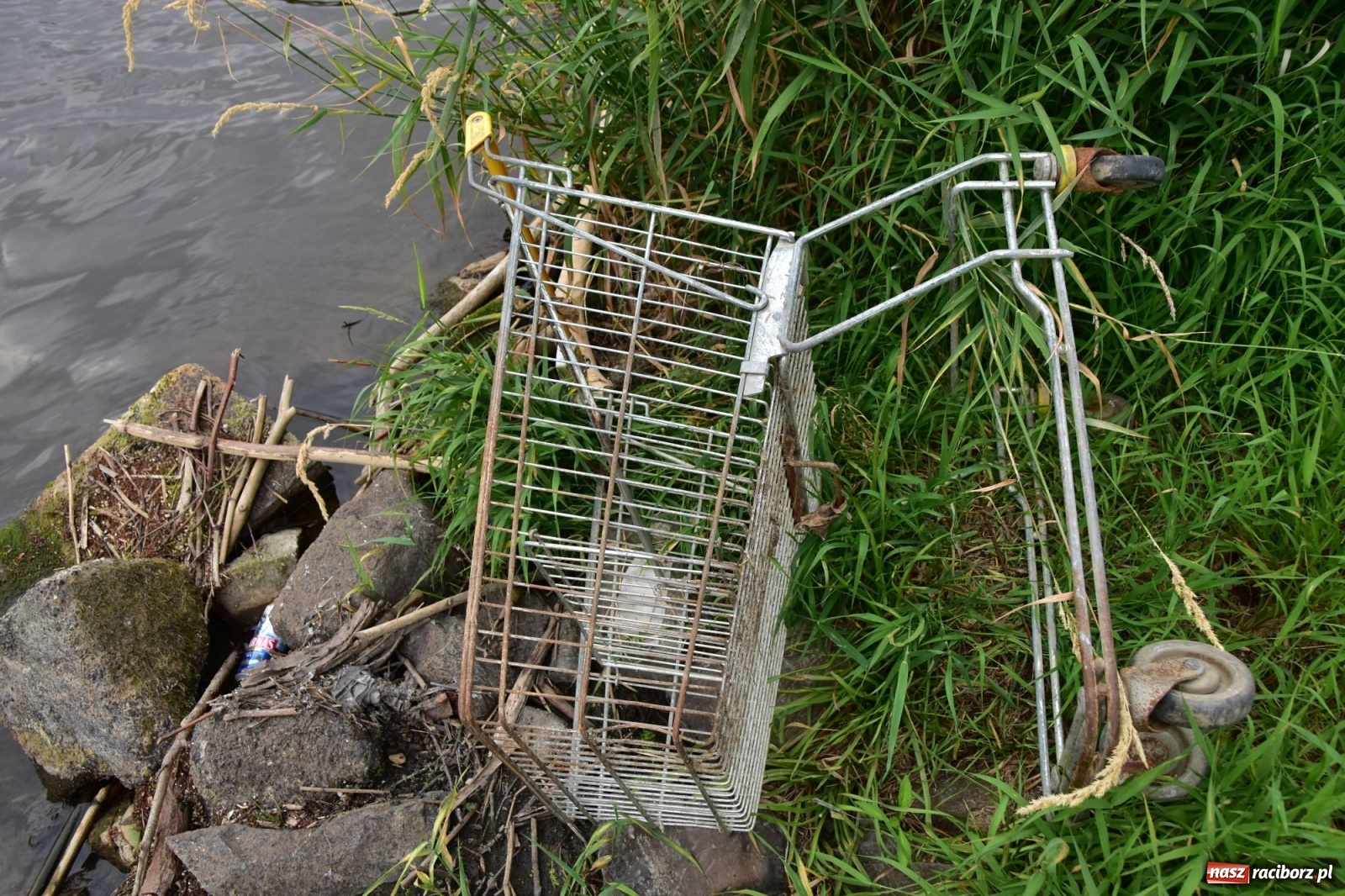 Zdjęcie w galerii na portalu naszraciborz.pl: Państwowa Służba Hydrologiczna ostrzega przed niżówką. Groźba niedoborów wody wiadomości z regionu