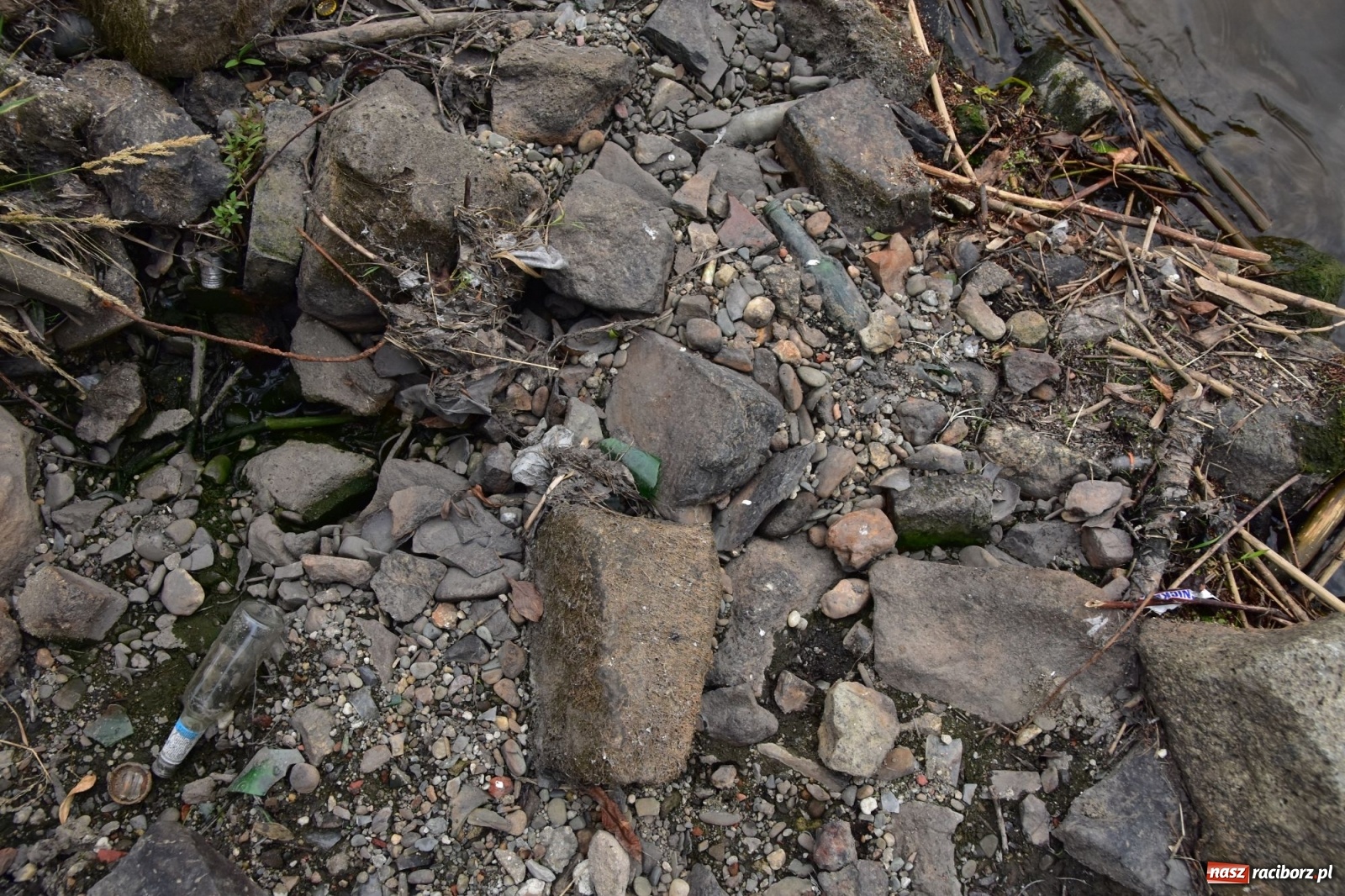 Zdjęcie w galerii na portalu naszraciborz.pl: Państwowa Służba Hydrologiczna ostrzega przed niżówką. Groźba niedoborów wody wiadomości z regionu