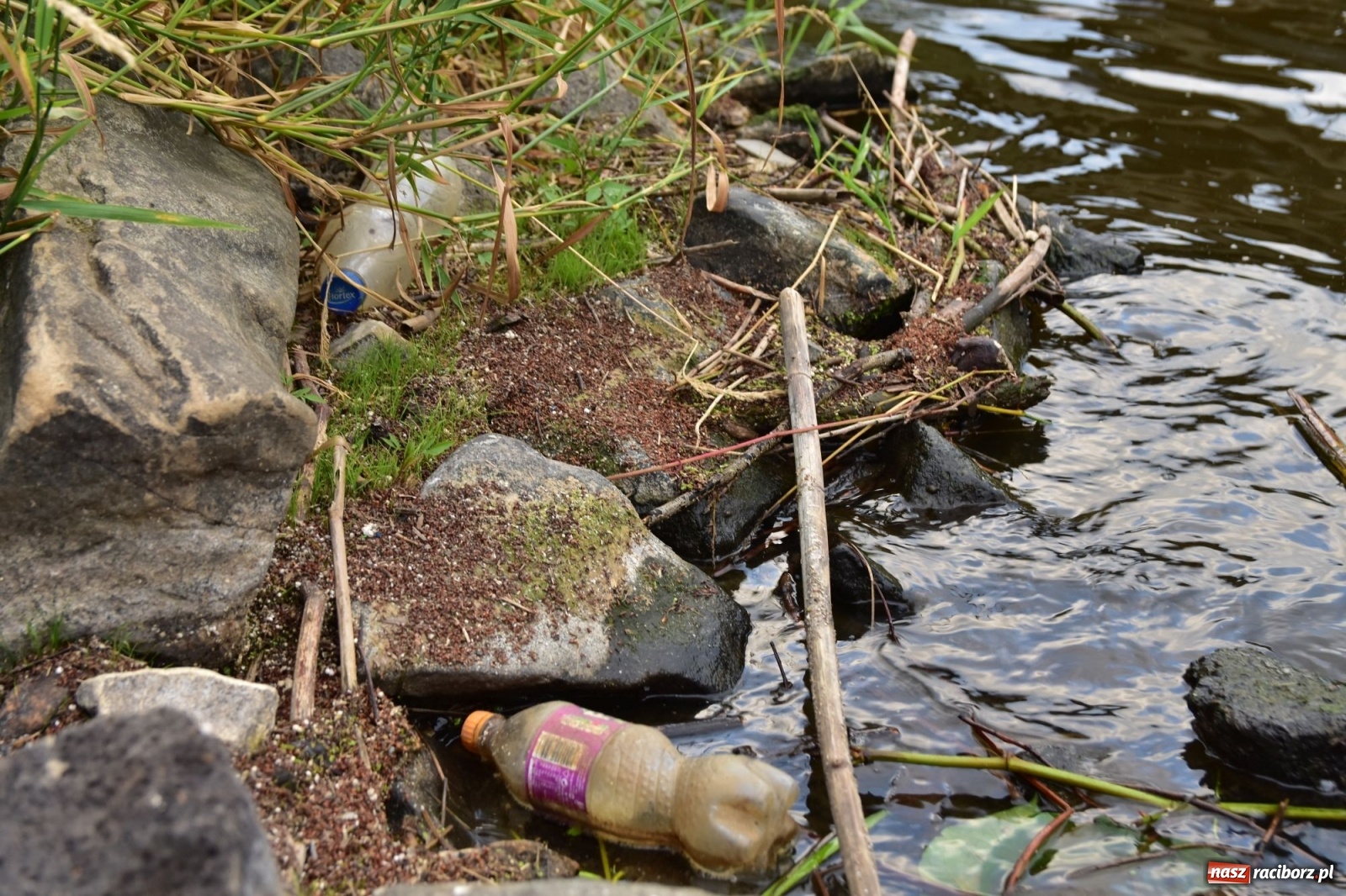 Zdjęcie w galerii na portalu naszraciborz.pl: Państwowa Służba Hydrologiczna ostrzega przed niżówką. Groźba niedoborów wody wiadomości z regionu