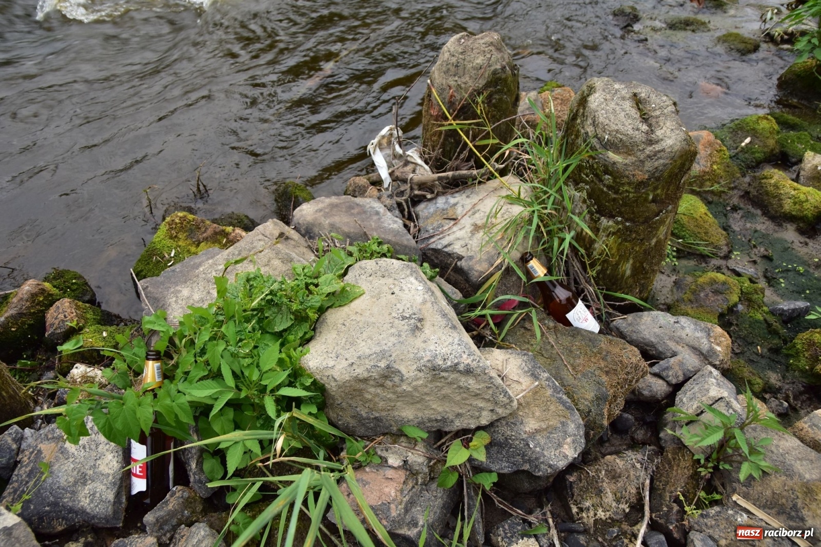 Zdjęcie w galerii na portalu naszraciborz.pl: Państwowa Służba Hydrologiczna ostrzega przed niżówką. Groźba niedoborów wody wiadomości z regionu