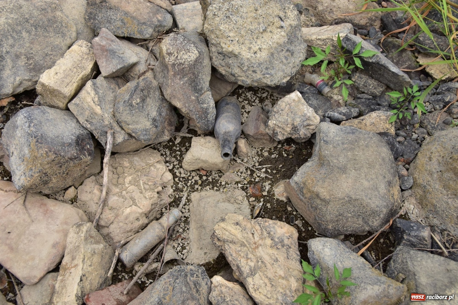 Zdjęcie w galerii na portalu naszraciborz.pl: Państwowa Służba Hydrologiczna ostrzega przed niżówką. Groźba niedoborów wody wiadomości z regionu