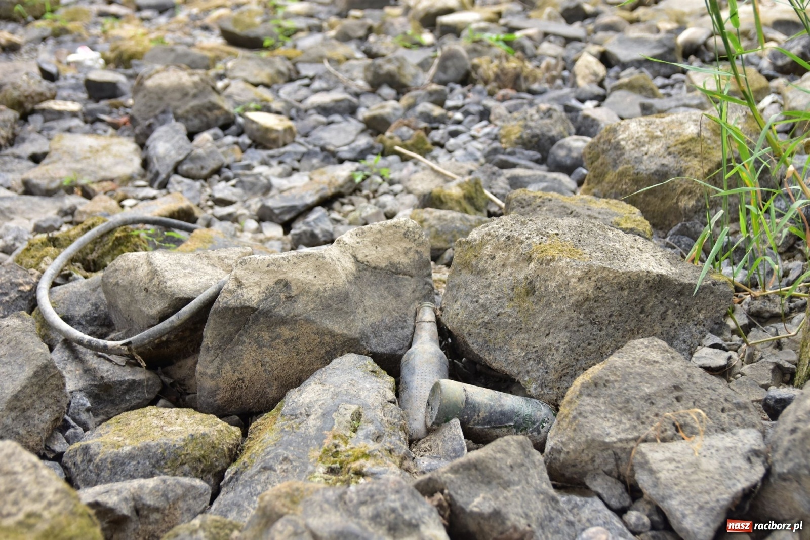 Zdjęcie w galerii na portalu naszraciborz.pl: Państwowa Służba Hydrologiczna ostrzega przed niżówką. Groźba niedoborów wody wiadomości z regionu