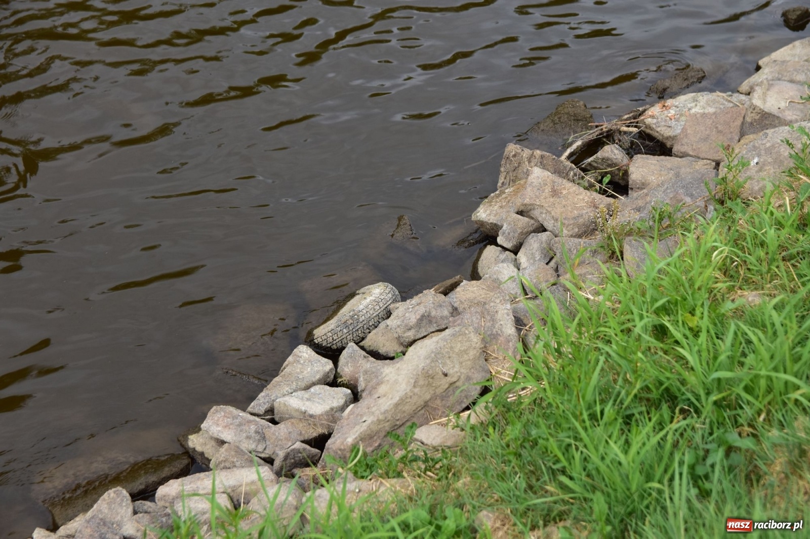 Zdjęcie w galerii na portalu naszraciborz.pl: Państwowa Służba Hydrologiczna ostrzega przed niżówką. Groźba niedoborów wody wiadomości z regionu
