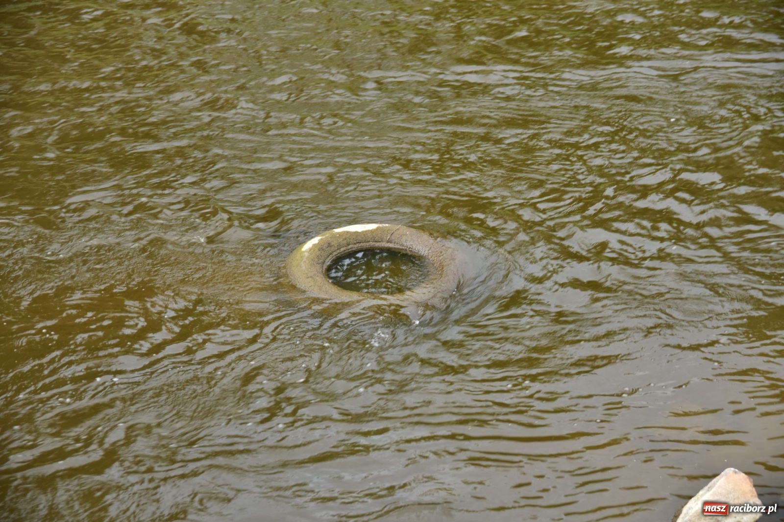 Zdjęcie w galerii na portalu naszraciborz.pl: Państwowa Służba Hydrologiczna ostrzega przed niżówką. Groźba niedoborów wody wiadomości z regionu