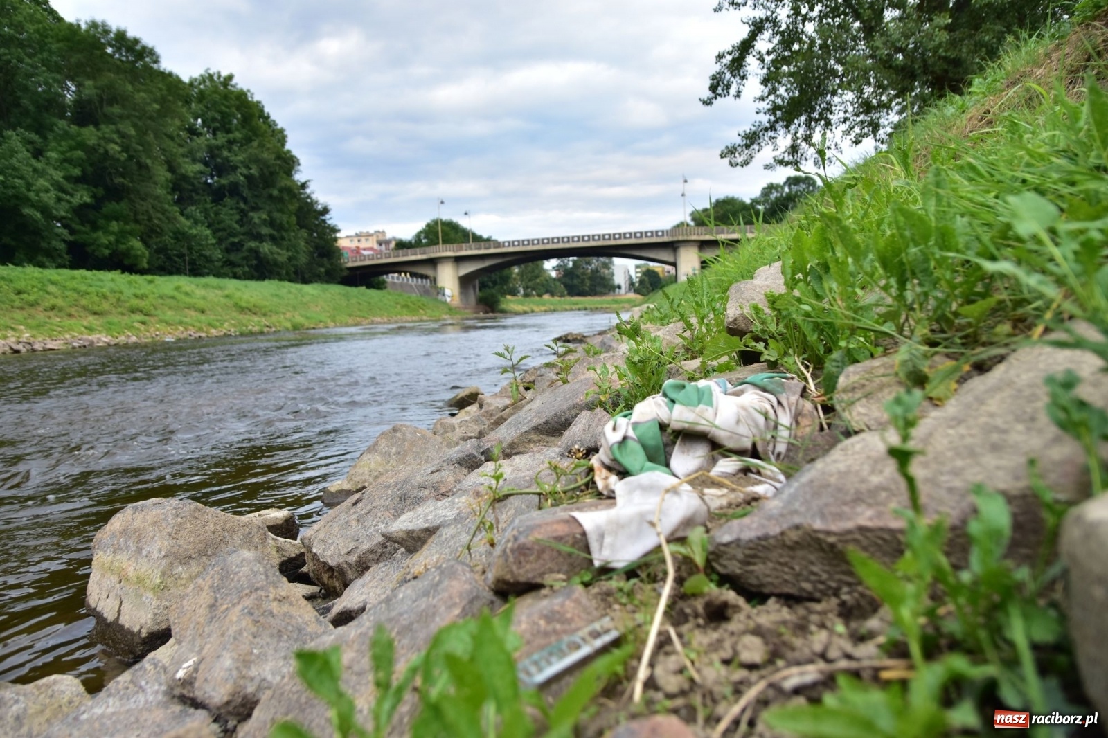 Zdjęcie w galerii na portalu naszraciborz.pl: Państwowa Służba Hydrologiczna ostrzega przed niżówką. Groźba niedoborów wody wiadomości z regionu