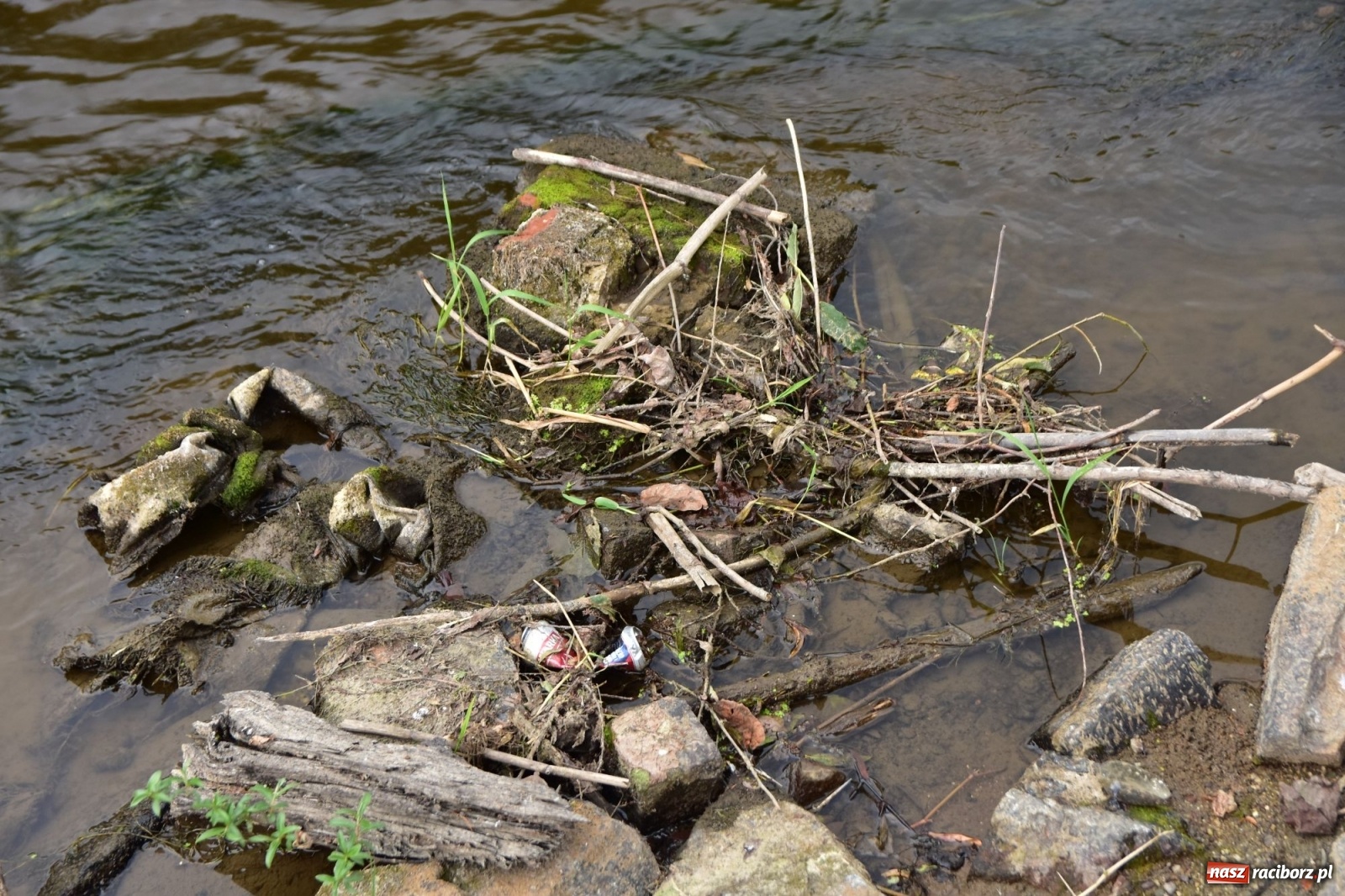 Zdjęcie w galerii na portalu naszraciborz.pl: Państwowa Służba Hydrologiczna ostrzega przed niżówką. Groźba niedoborów wody wiadomości z regionu