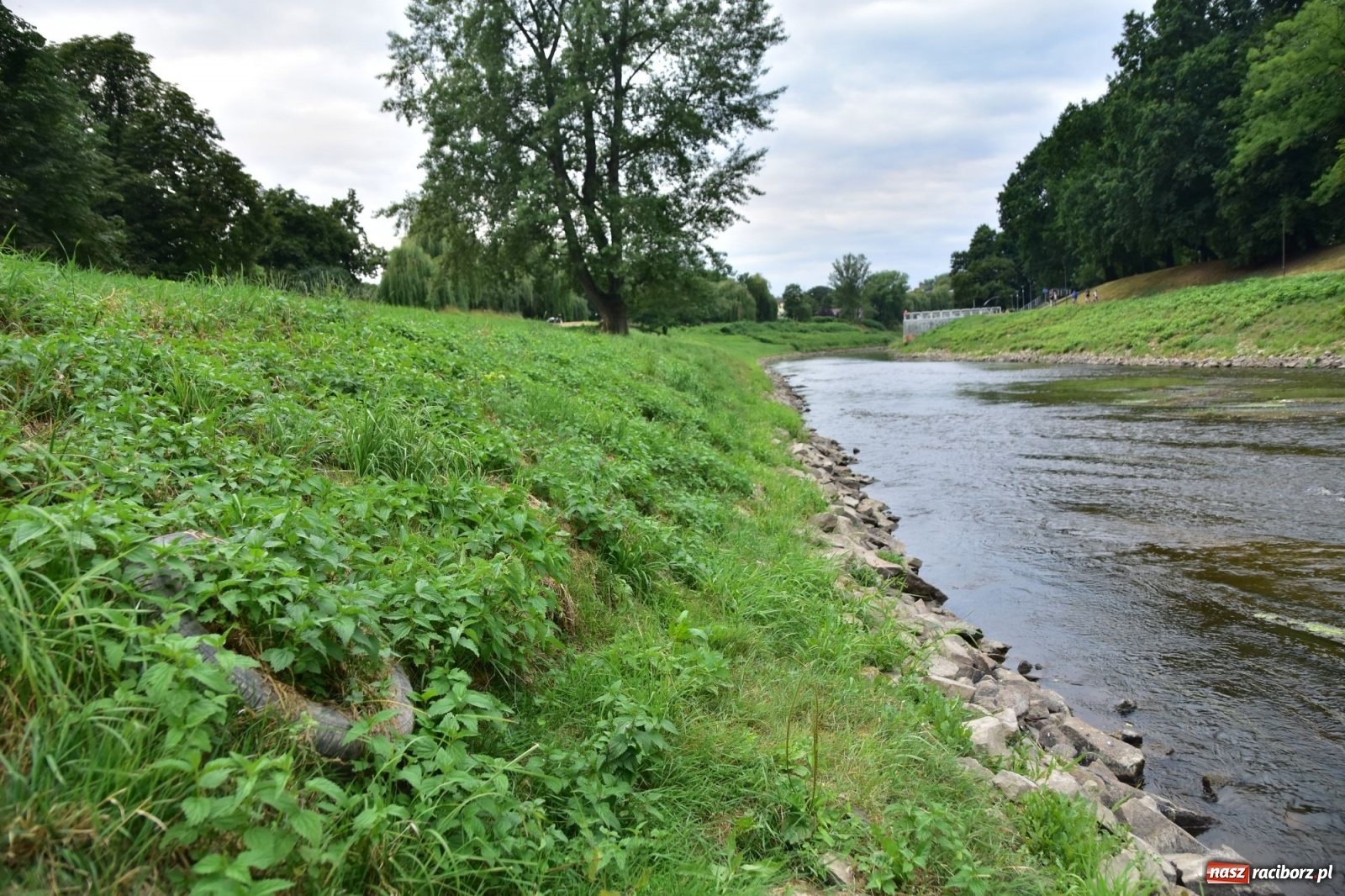 Zdjęcie w galerii na portalu naszraciborz.pl: Państwowa Służba Hydrologiczna ostrzega przed niżówką. Groźba niedoborów wody wiadomości z regionu