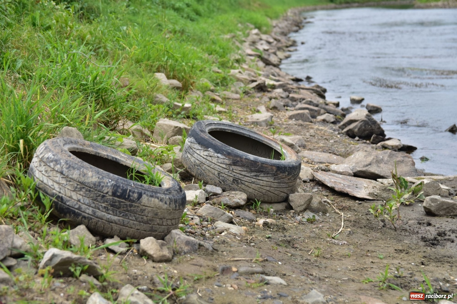 Zdjęcie w galerii na portalu naszraciborz.pl: Państwowa Służba Hydrologiczna ostrzega przed niżówką. Groźba niedoborów wody wiadomości z regionu